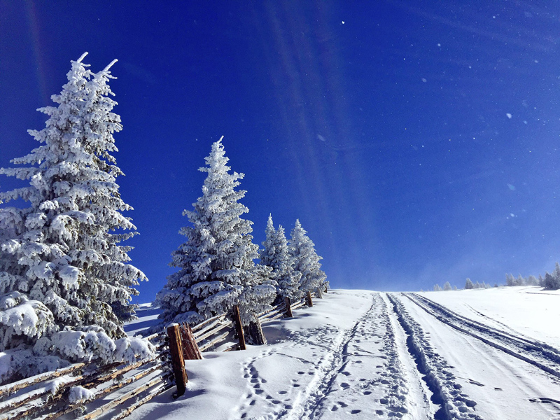 Spring Skinning and Skiing in Santa Fe, New Mexico (Source: Geo Davis)